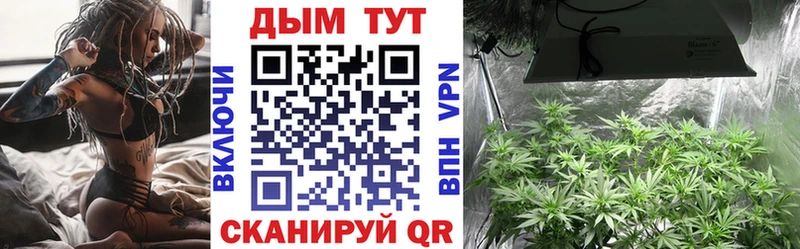 Бошки марихуана конопля  blacksprut зеркало  Красноуфимск 